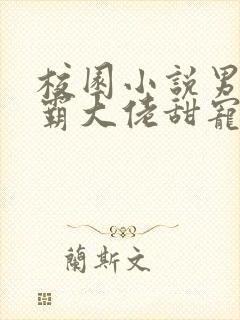 校园小说男主校霸大佬甜宠文