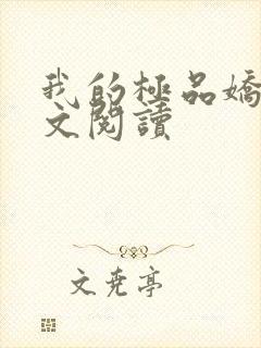 我的极品娇妻全文阅读