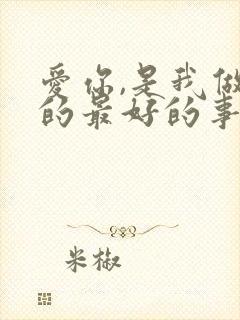 爱你,是我做过的最好的事小说