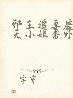 邪王追妻废材逆天小姐番外篇