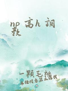 np 高h 调教
