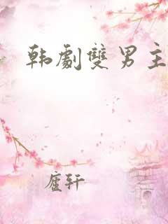 韩剧双男主的剧