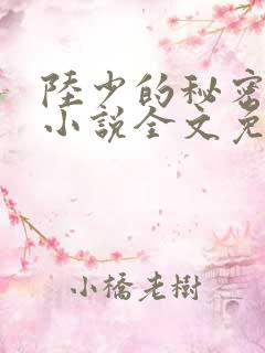 陆少的秘密恋人小说全文免费阅读
