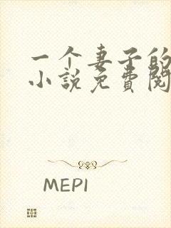 一个妻子的回忆小说免费阅读