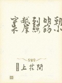 穿越到明朝辅佐朱厚照的小说