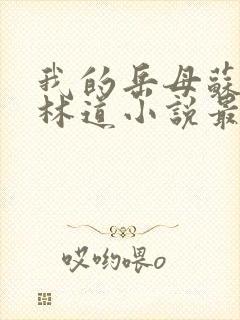 我的岳母苏沛真林道小说最新章节