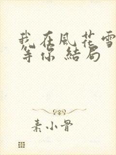 我在风花雪月里等你 结局