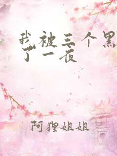 我被三个黑人操了一夜