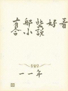 有哪些好看的百合小说