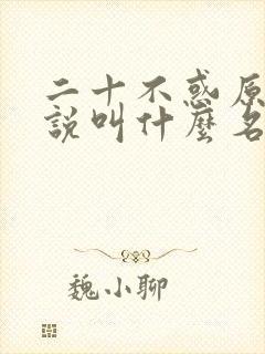 二十不惑原著小说叫什么名字来着