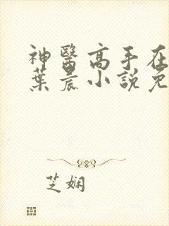 神医高手在都市叶晨小说免费阅读