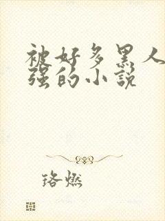 被好多黑人一启强的小说