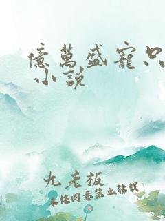 亿万盛宠只为你 小说