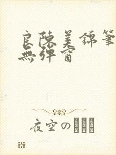 良陈美锦笔趣阁无弹窗