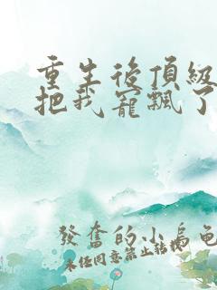 重生后顶级大佬把我宠飘了