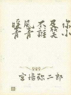 暖风不及你情深青青谁笑小说在线阅读全文