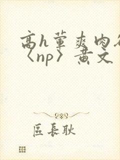 高h荤爽肉欲文〈np〉黄文