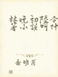 林晚初陆今安原著小说叫什么名字