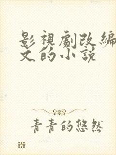 影视剧改编成爽文的小说