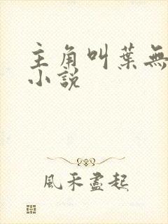 主角叫叶无名的小说