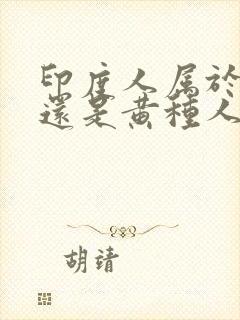 印度人属于黑人还是黄种人