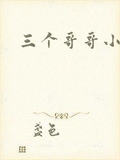 三个哥哥小说
