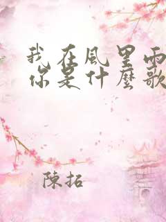 我在风里雨里等你是什么歌