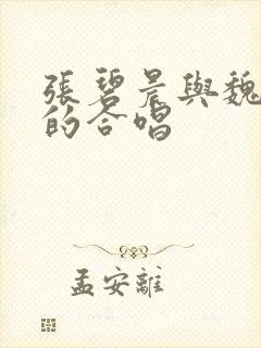 张碧晨与魏雪漫的合唱