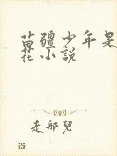 苗疆少年是黑莲花小说