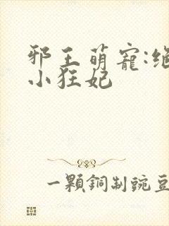 邪王萌宠:绝色小狂妃