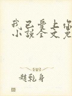 我已爱上你陈超小说全文免费阅读