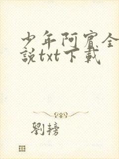 少年阿宾全文小说txt下载