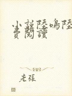 小说陆鸣陆瑶免费阅读