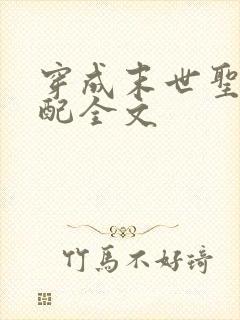 穿成末世圣母女配全文