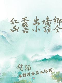 红杏出墙乡村大凶器小说全文阅读