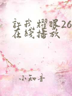 许我耀眼26集在线播放