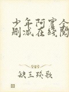 少年阿宾全文无删减在线阅读