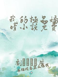 我的极品娇妻苏晴小说免费阅读