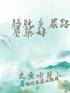 膀胱炎尿路吃什么药好