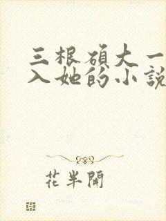 三根硕大一起挤入她的小说