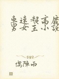 车速超高废文的男女主小说