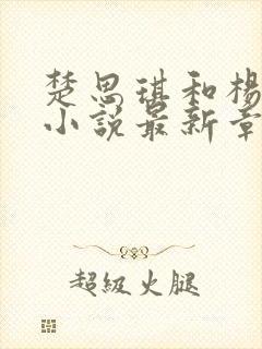 楚思琪和杨叔的小说最新章节内容