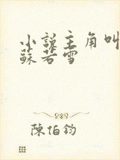 小说主角叫沈浪苏若雪