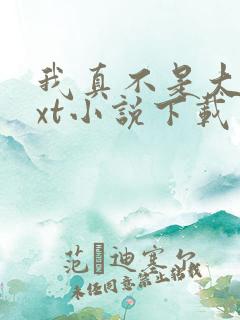 我真不是大佬txt小说下载