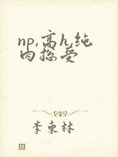 np,高h,纯肉总受