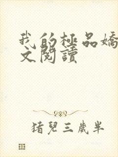 我的极品娇妻全文阅读