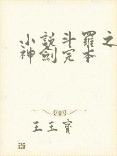 小说斗罗之灵珠神剑完本