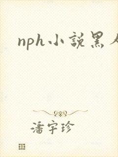 nph小说黑人