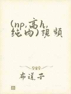 (np,高h,纯肉)视频
