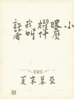 许我耀眼小说原著叫什么